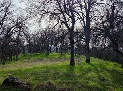 Palace Ln, Placerville, CA 95667 Photo