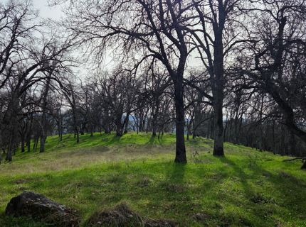 Palace Ln, Placerville, CA 95667 Photo