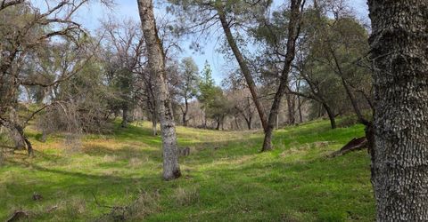 Palace Ln, Placerville, CA 95667 Photo