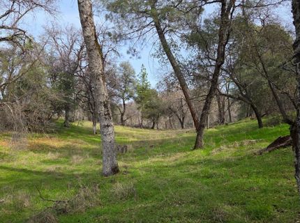 Palace Ln, Placerville, CA 95667 Photo