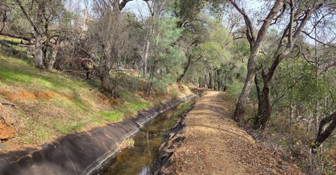 Palace Ln, Placerville, CA 95667 Photo