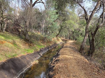 Palace Ln, Placerville, CA 95667 Photo