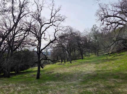 Palace Ln, Placerville, CA 95667 Photo