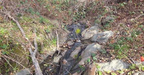 Palace Ln, Placerville, CA 95667 Photo