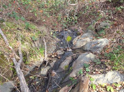 Palace Ln, Placerville, CA 95667 Photo
