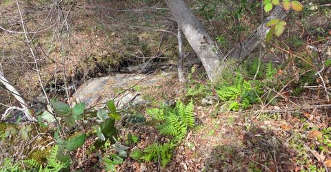 Palace Ln, Placerville, CA 95667 Photo