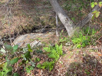 Palace Ln, Placerville, CA 95667 Photo