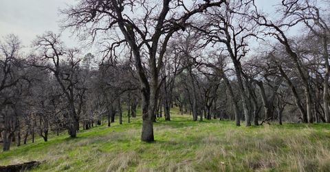 Palace Ln, Placerville, CA 95667 Photo