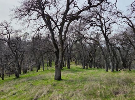 Palace Ln, Placerville, CA 95667 Photo