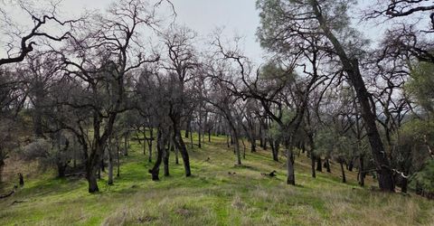 Palace Ln, Placerville, CA 95667 Photo