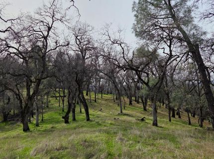 Palace Ln, Placerville, CA 95667 Photo