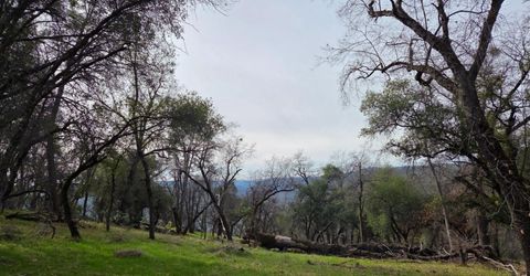 Palace Ln, Placerville, CA 95667 Photo