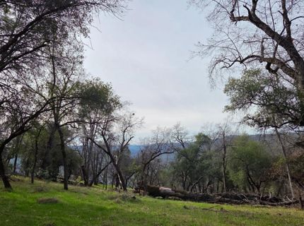 Palace Ln, Placerville, CA 95667 Photo