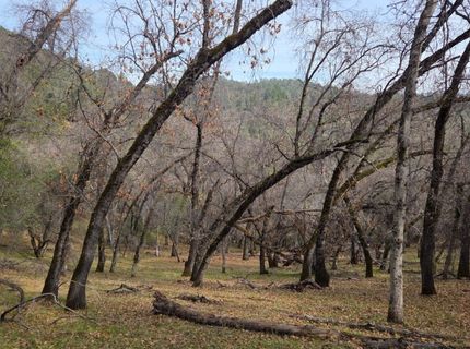 Palace Ln, Placerville, CA 95667 Photo