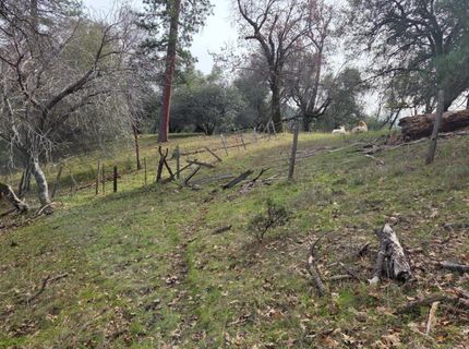 Palace Ln, Placerville, CA 95667 Photo