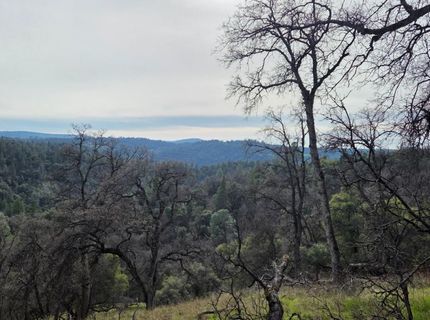 Palace Ln, Placerville, CA 95667 Photo