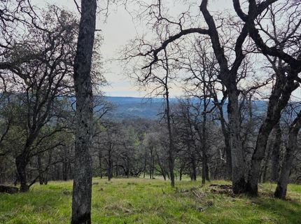 Palace Ln, Placerville, CA 95667 Photo