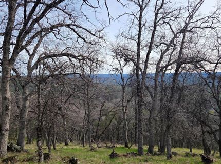 Palace Ln, Placerville, CA 95667 Photo