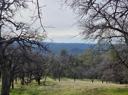 Palace Ln, Placerville, CA 95667 Photo