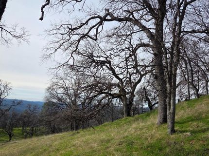 Palace Ln, Placerville, CA 95667 Photo