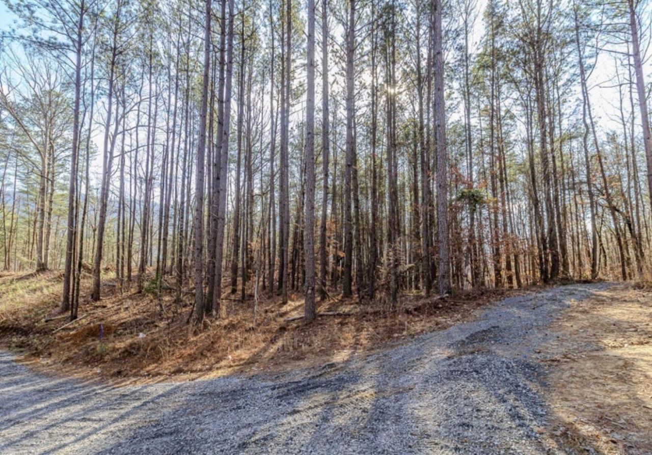 Lot 5 Parksville Road, Benton, TN 37307 Main Photo