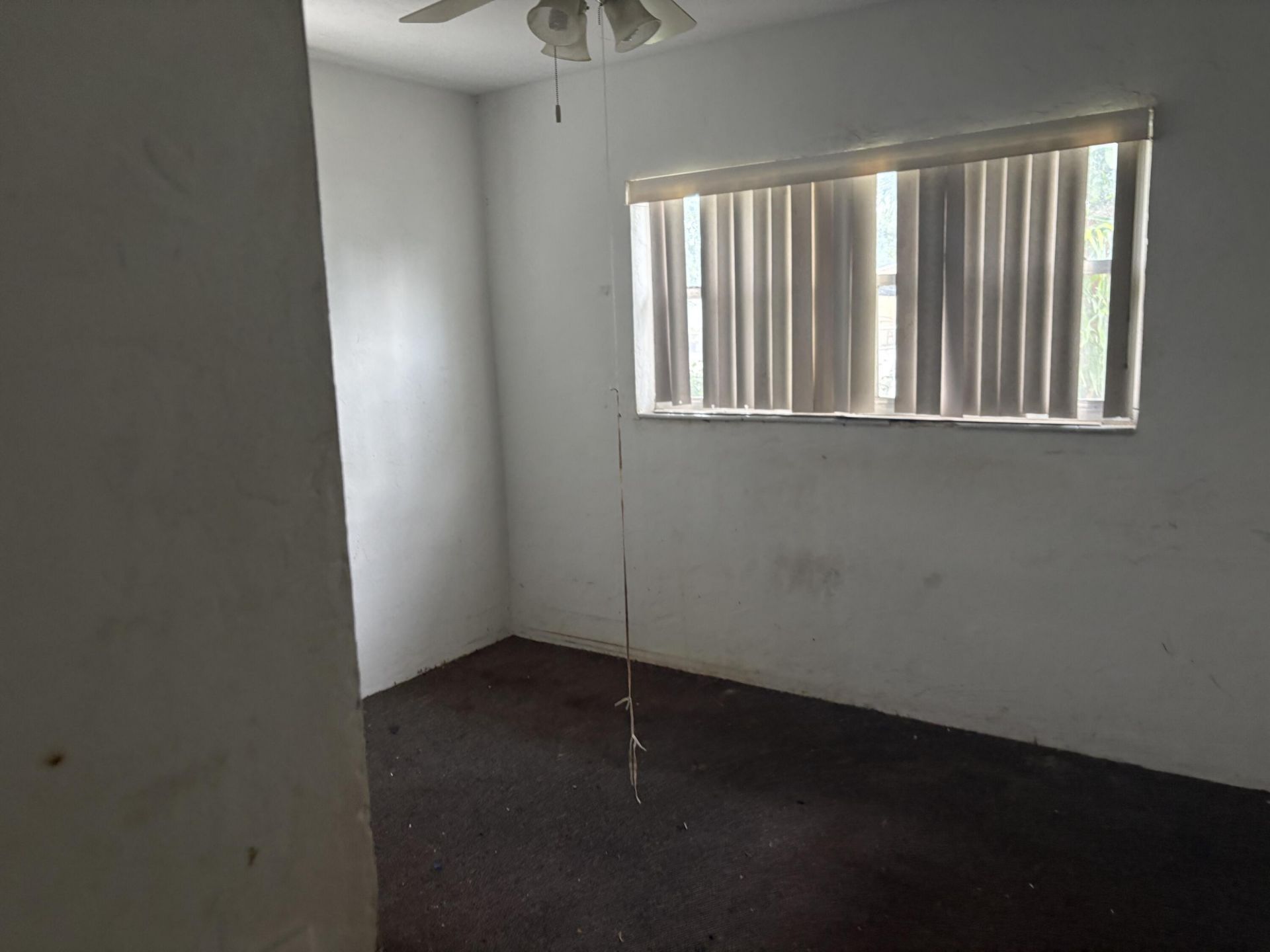 5663 Flagler Street, Hollywood, FL 33023 Photo