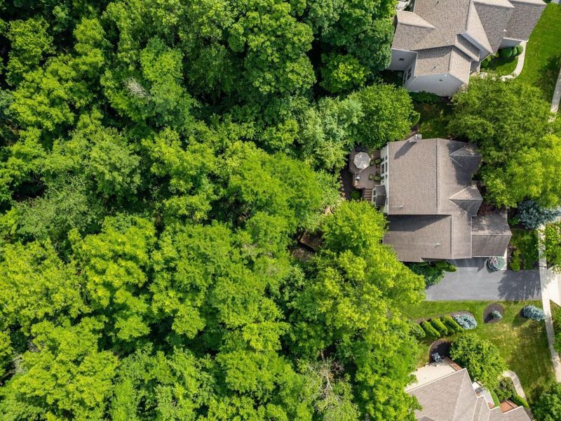 2569 Open Bay Court, Galena, OH 43021 Photo 19