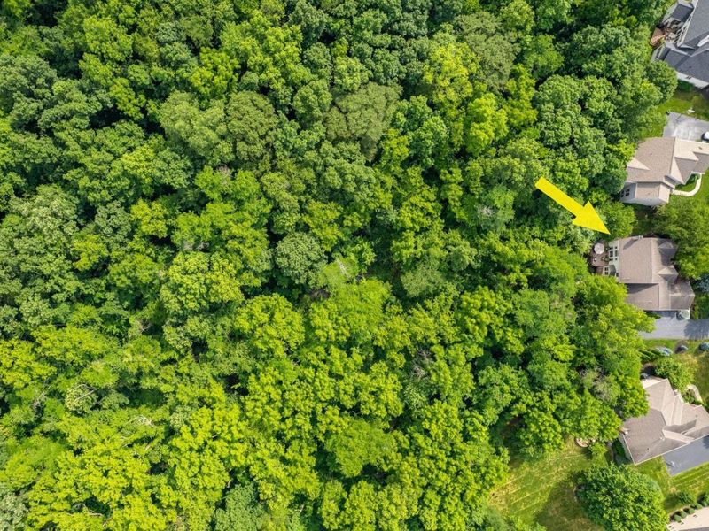 2569 Open Bay Court, Galena, OH 43021 Photo 20