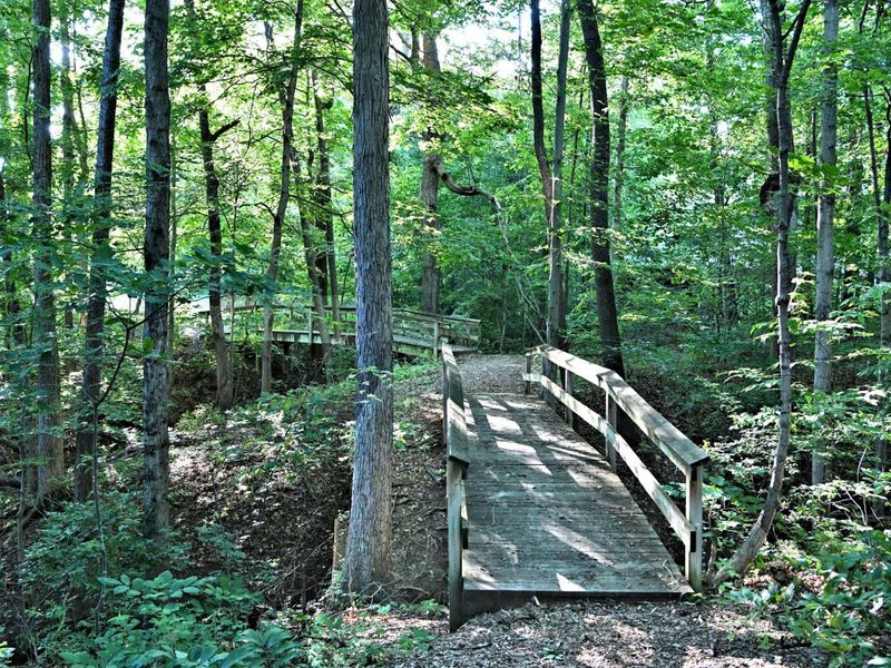 2569 Open Bay Court, Galena, OH 43021 Photo 80