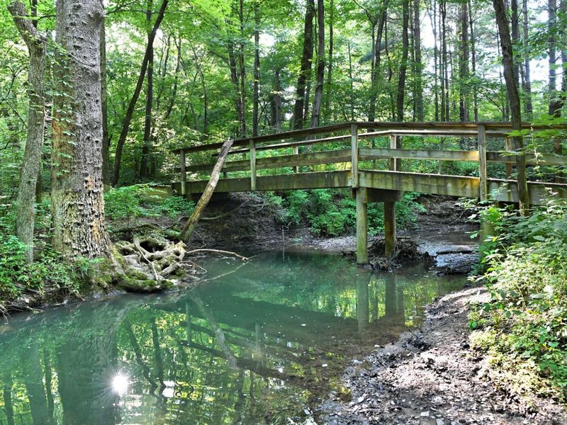 2569 Open Bay Court, Galena, OH 43021 Photo 81