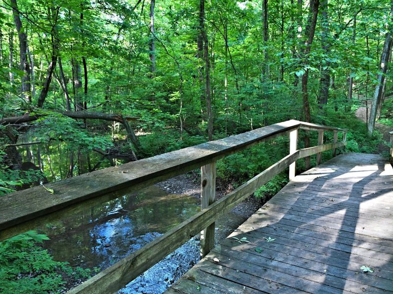 2569 Open Bay Court, Galena, OH 43021 Photo 82