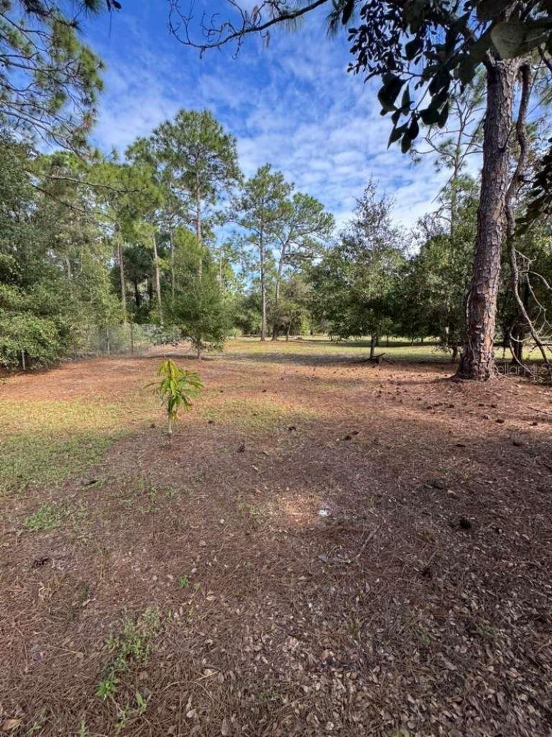 415 N Verda Street, Clewiston, FL 33440 Photo