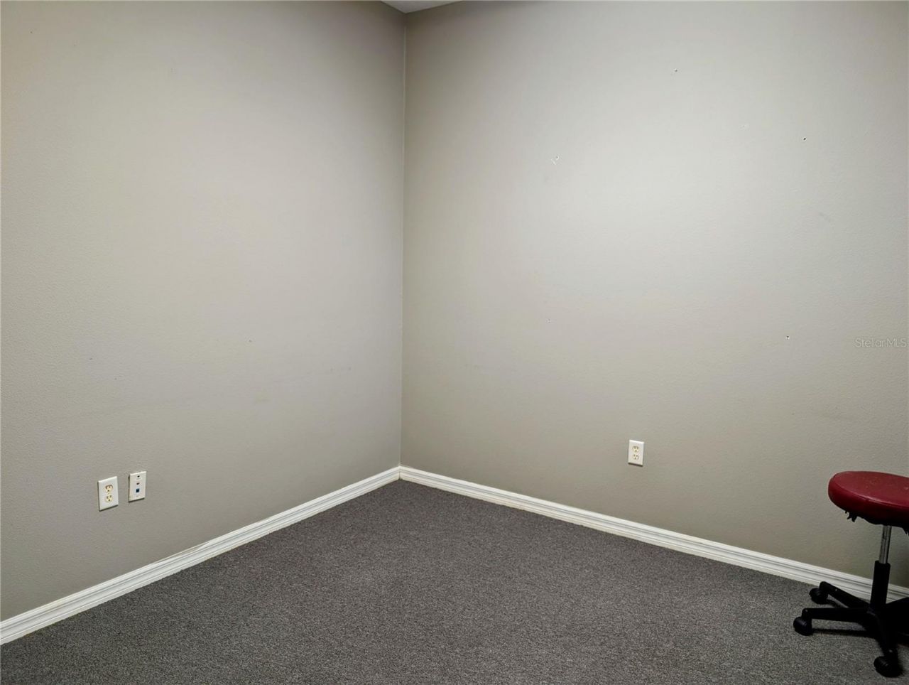 6938 W Linebaugh Avenue, Tampa, FL 33625 Photo