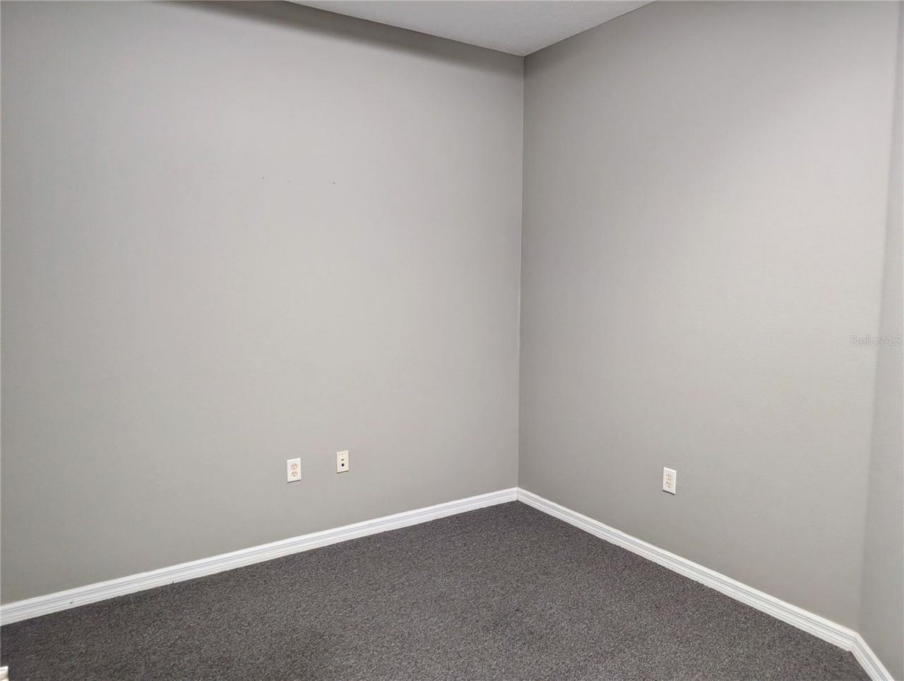 6938 W Linebaugh Avenue, Tampa, FL 33625 Photo