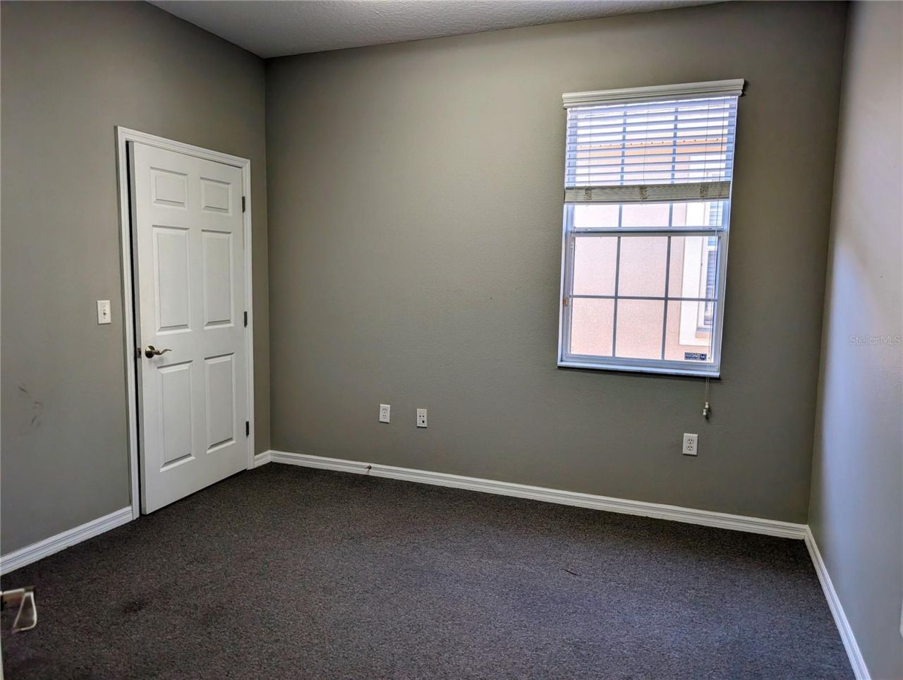 6938 W Linebaugh Avenue, Tampa, FL 33625 Photo