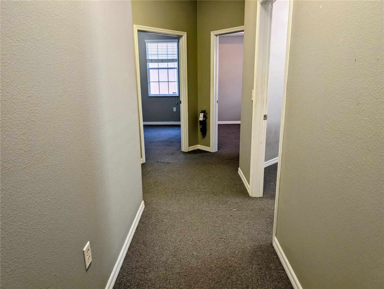 6938 W Linebaugh Avenue, Tampa, FL 33625 Photo