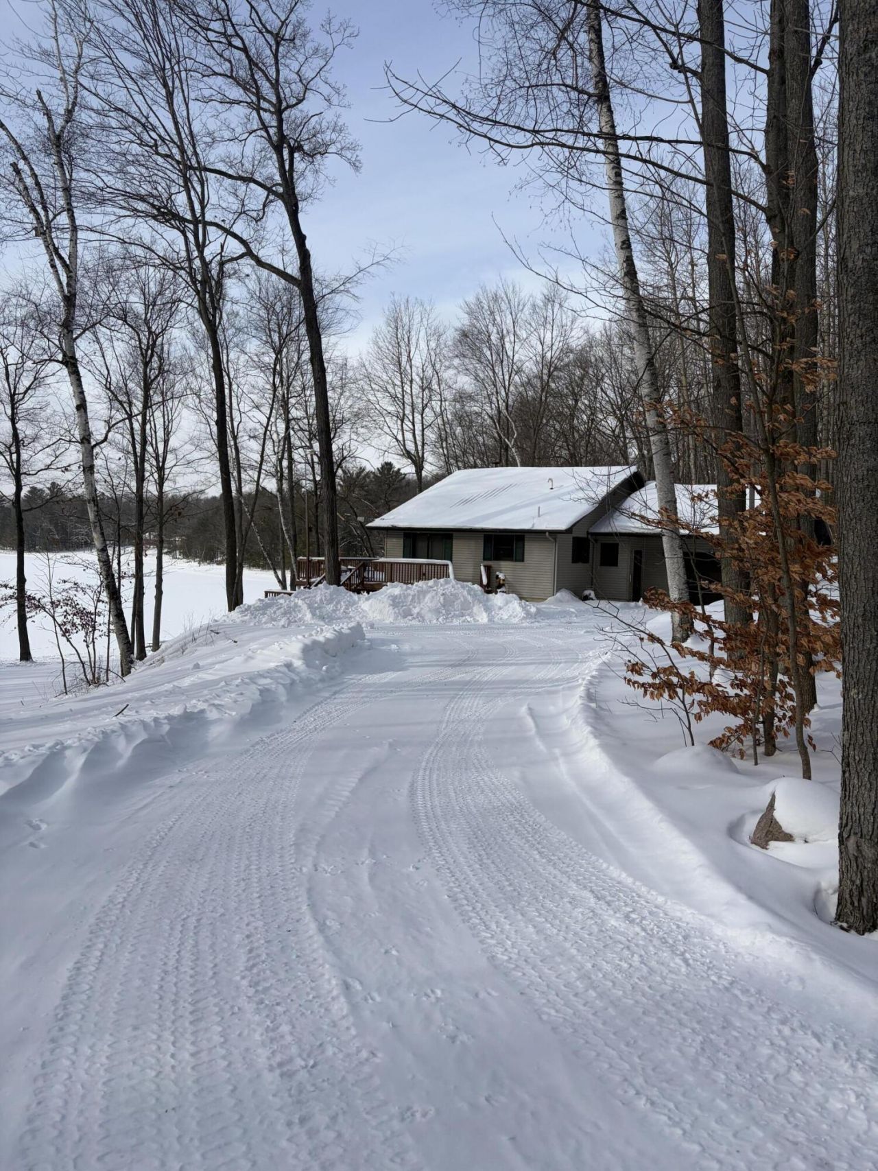 10140 Alpine Drive, Reed City, MI 49677 Main Photo