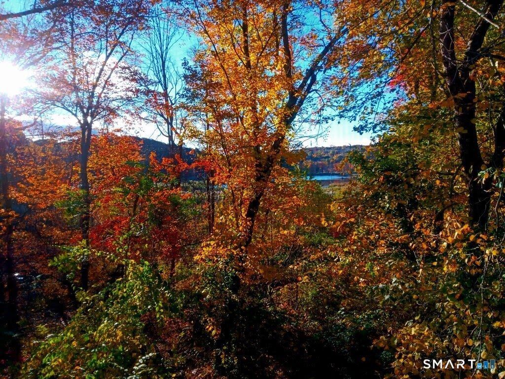 36 Bigelow, New Fairfield, CT 06812 Main Photo