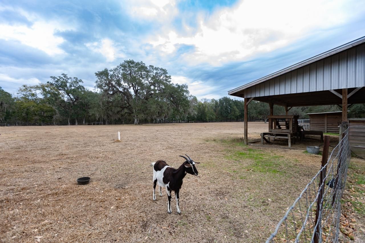 525 Taylor Road, Monticello, FL 32344 Photo