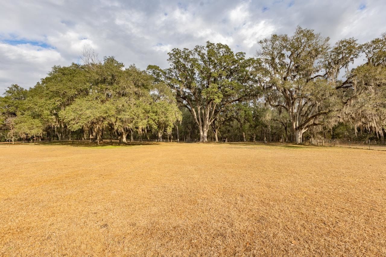 525 Taylor Road, Monticello, FL 32344 Photo