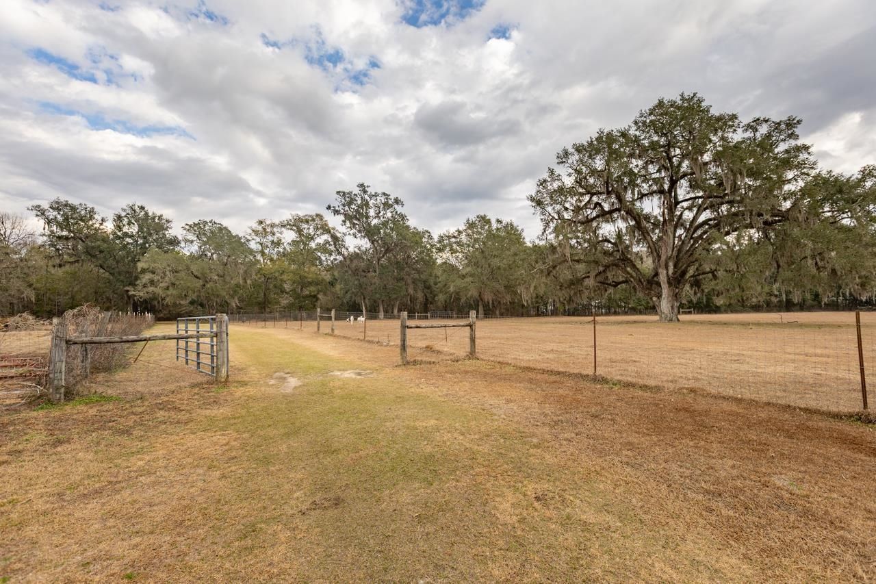 525 Taylor Road, Monticello, FL 32344 Photo