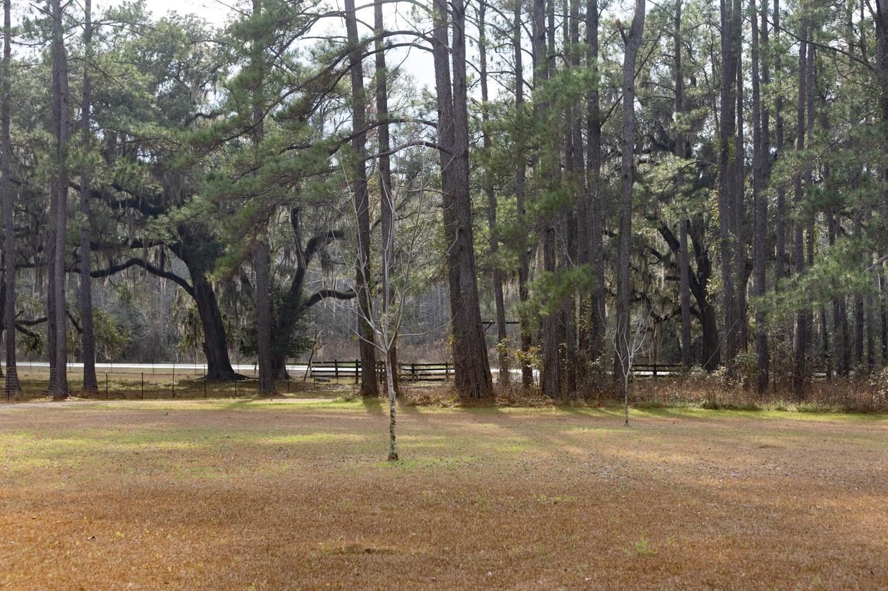 525 Taylor Road, Monticello, FL 32344 Photo