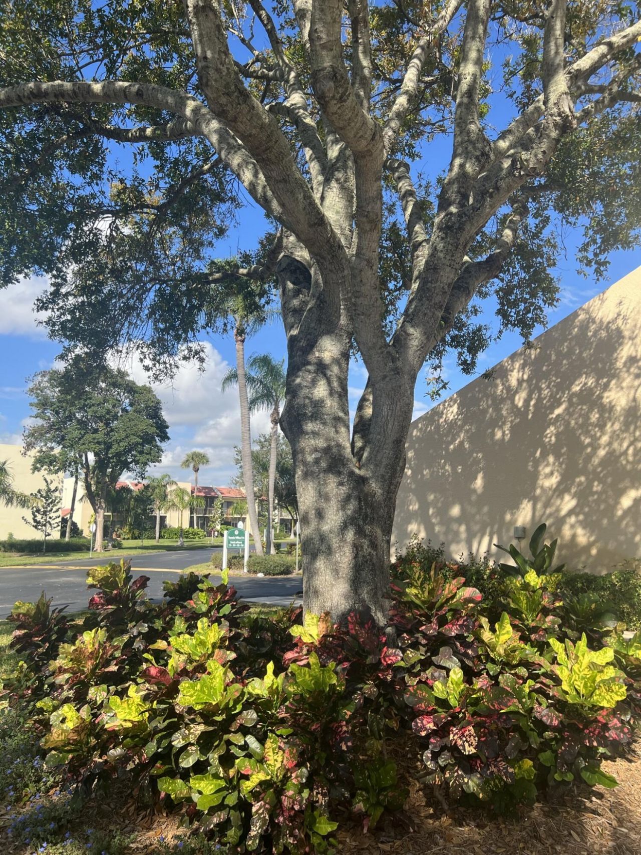 1605 S Us Highway 1, Unit 201m2, Jupiter, FL 33477 Photo