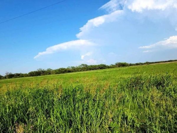 TBD FM rd 57 Road, Sylvester, TX 79560