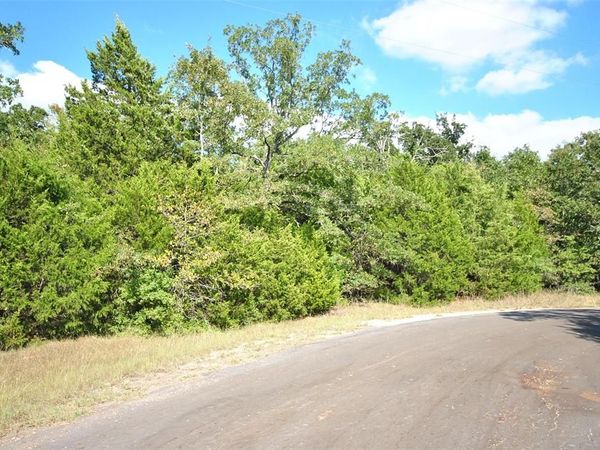 Lot 24 LCR 910 Drive, Jewett, TX 75846