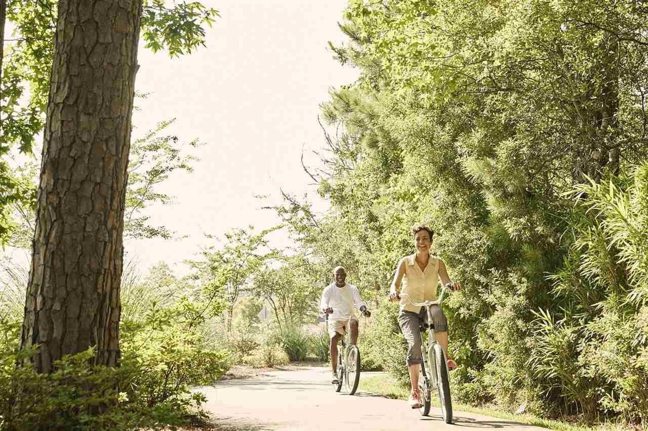 424 Sea Breeze Way Photo 25