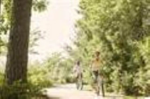 420 Sea Breeze Way Photo 22