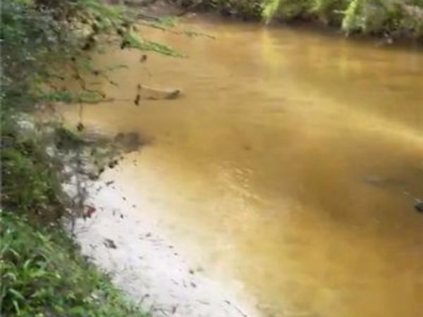 79173 LADY Lane, Folsom, LA 70437