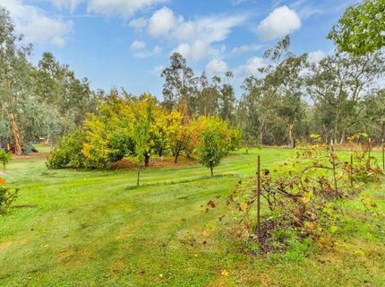 13435 Bennett Rd, Herald, CA 95638 Photo