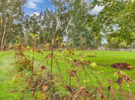 13435 Bennett Rd, Herald, CA 95638 Photo